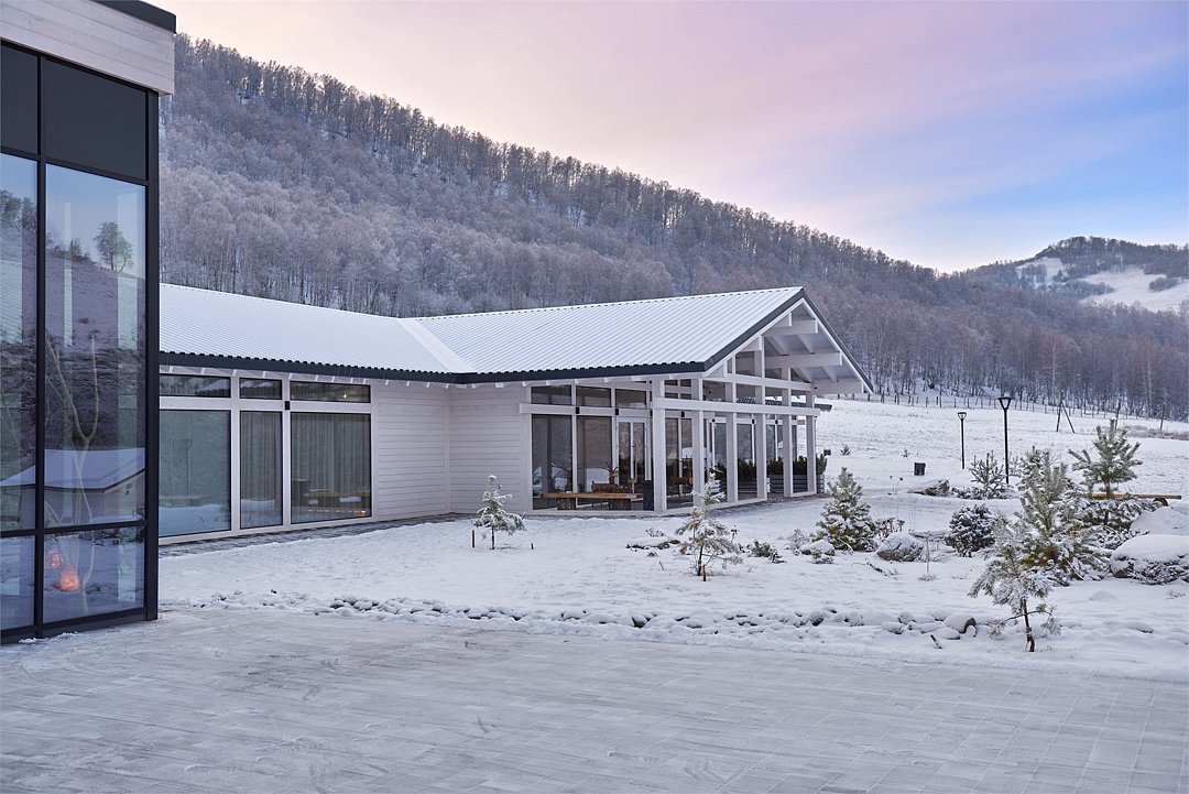 Маральник Алтай Пэлас, Алтайский край: фото 2