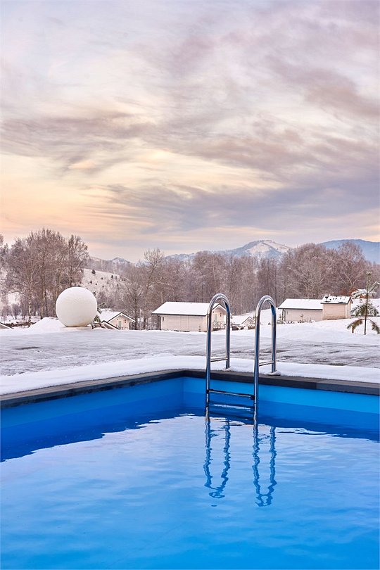 Маральник Алтай Пэлас, Алтайский край: фото 3