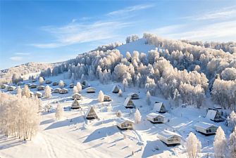 Гостиница Шале Алтай Пэлас