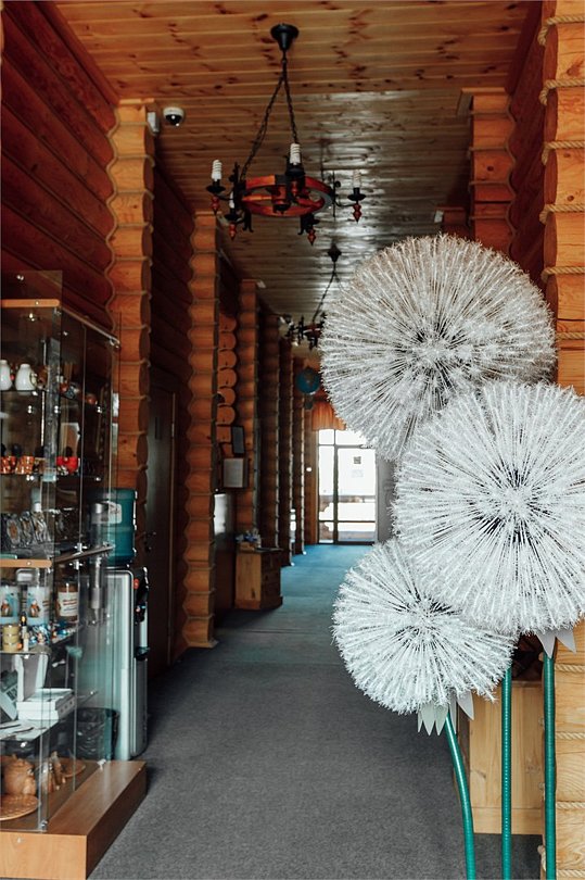 Коровницкая слобода, Ярославская область: фото 5