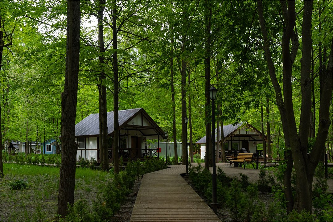 Усадьба Гребнево, Московская область: фото 3