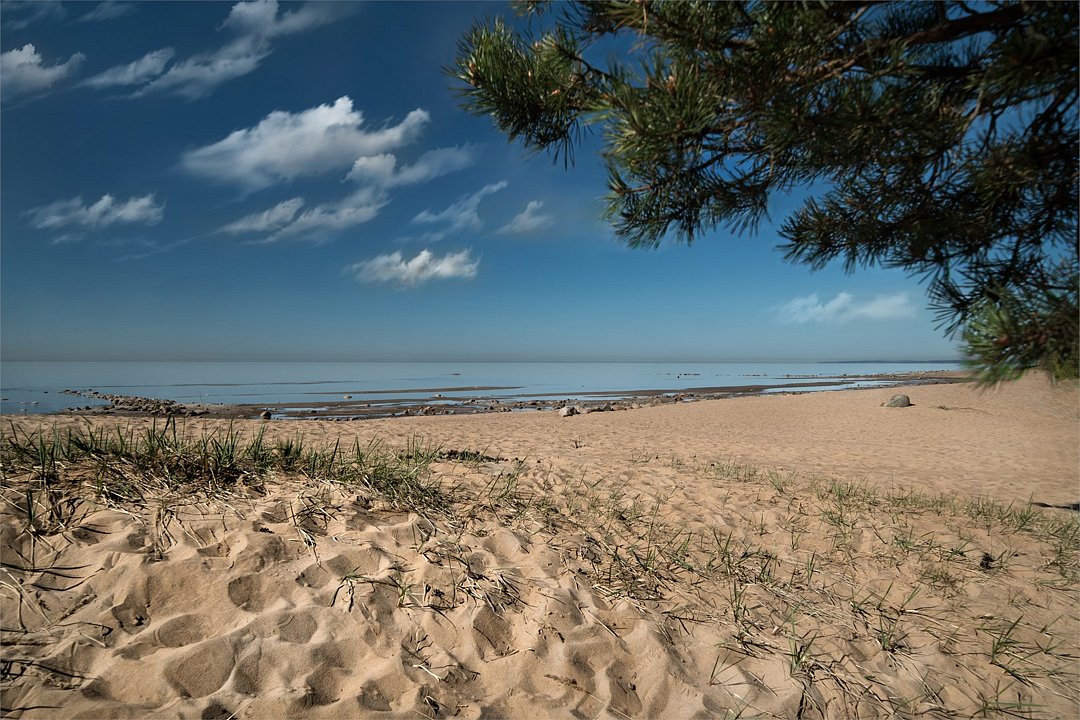Курорт "Первая Линия", Ленинградская область: фото 5