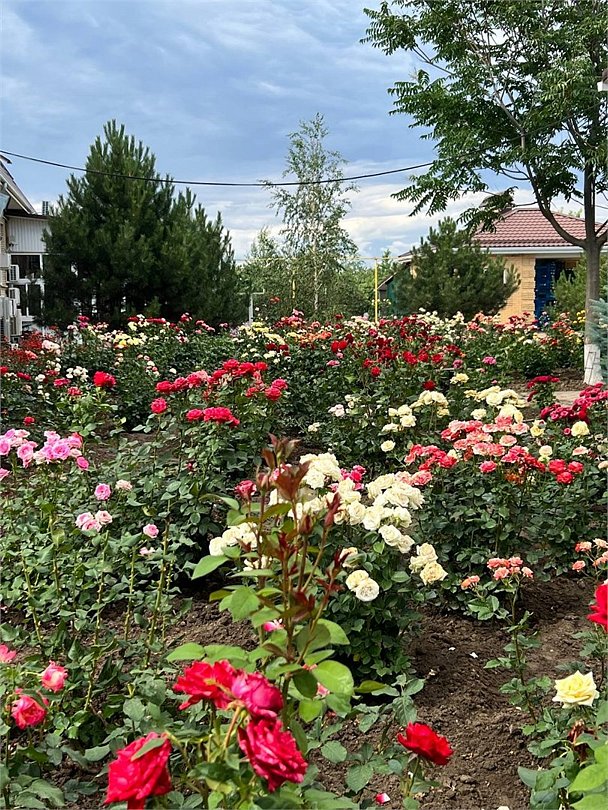 Усадьба Юзефова, Ростовская область: фото 5