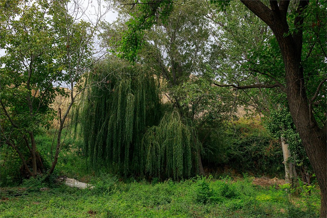 Кунак, Республика Дагестан: фото 5