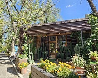 Гостиница Lemon Joe