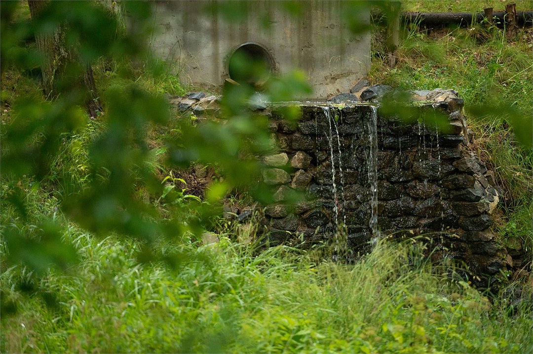 Розендорф, Московская область: фото 2
