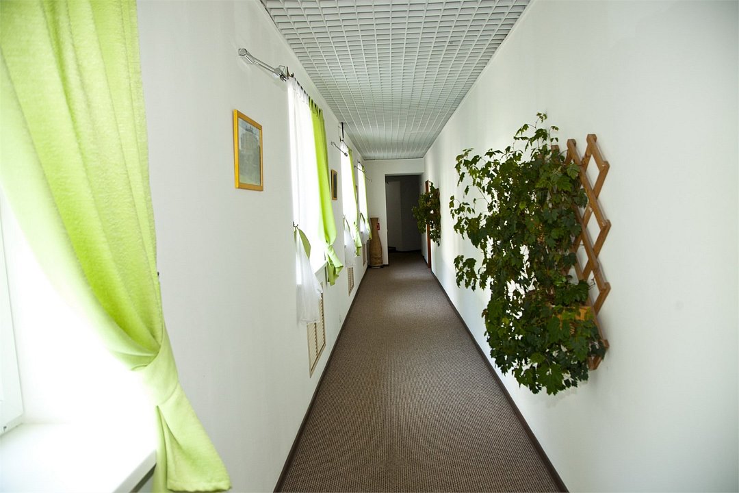 Отель Green Apple, Краснодарский край: фото 4