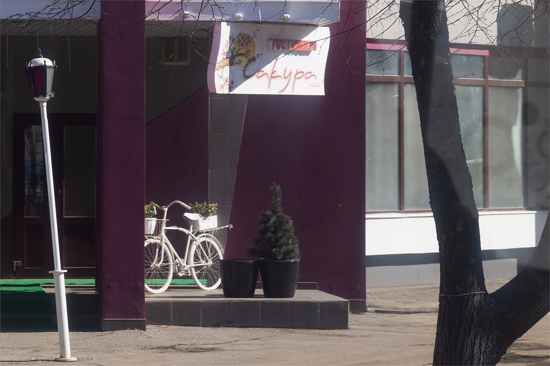 Сакура Нео, Рязанская область: фото 2