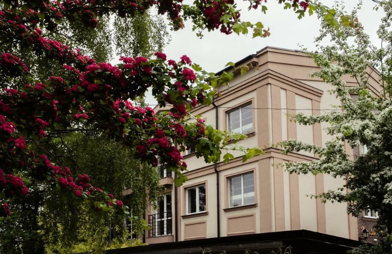 Элиза БонАпарт, Калининградская область: фото 2