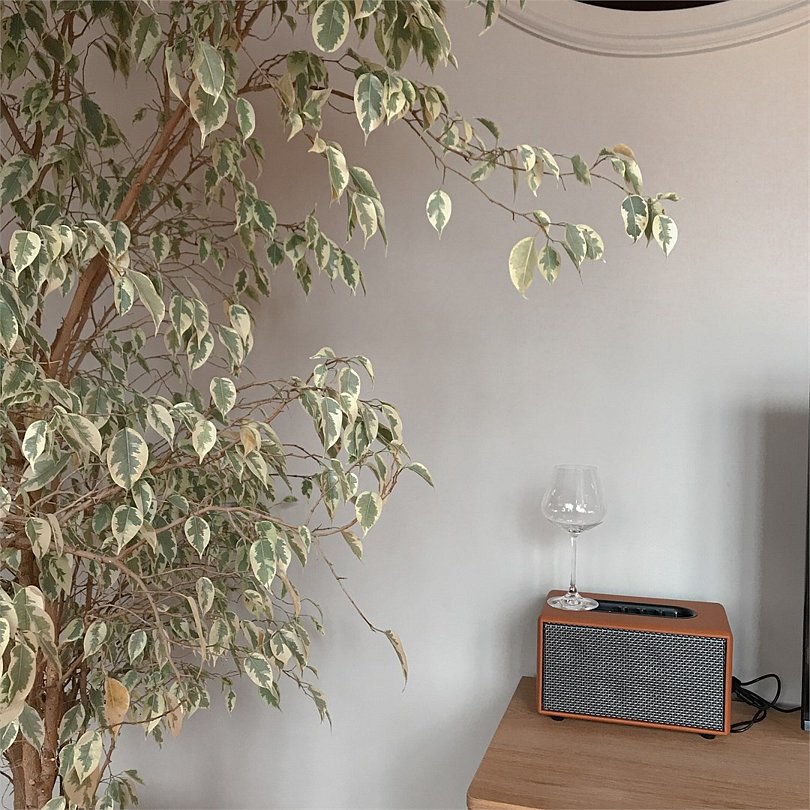 Бутик отель Лайм, Ставропольский край: фото 4