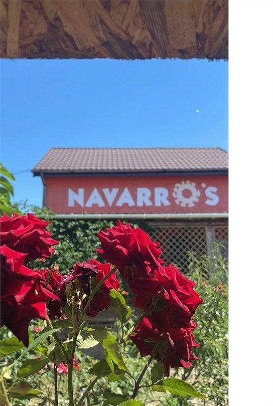 Navarros, Крым: фото 5