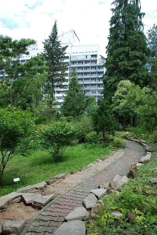 Белые ночи, Краснодарский край: фото 5