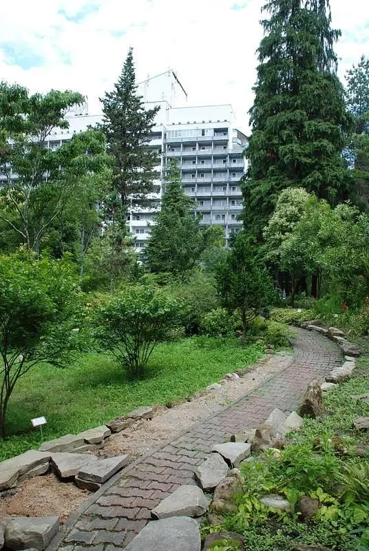Белые ночи, Краснодарский край: фото 5