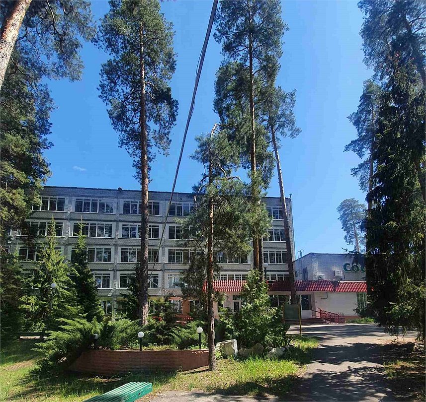 Сосновый бор, Ульяновская область: фото 2