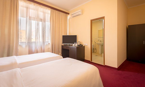 Deluxe 2-местный 1-комнатный (TWIN)