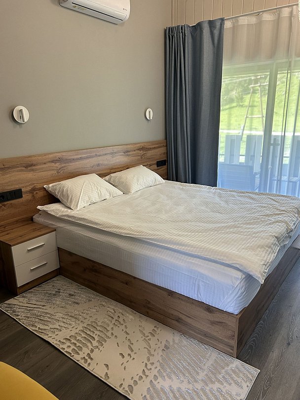 Игуана , Горный Алтай (Республика Алтай): фото 2