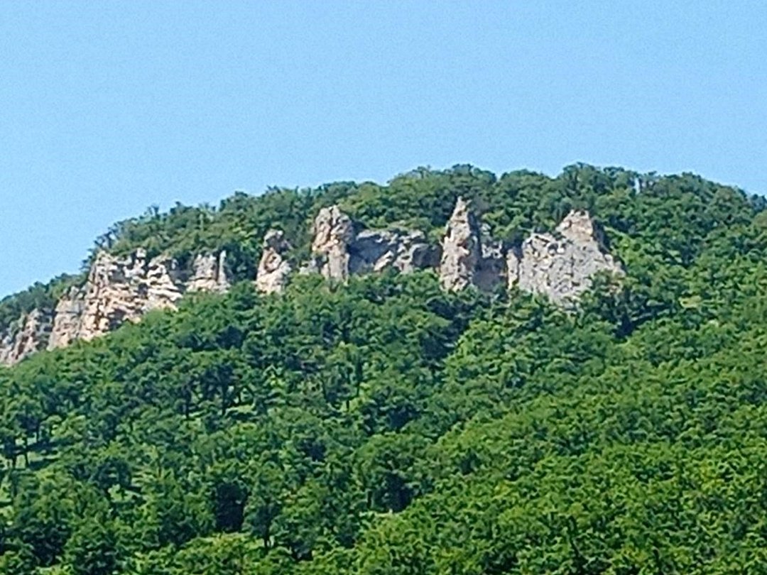 Отель АЛИЯ, станица Даховская, Республика Адыгея