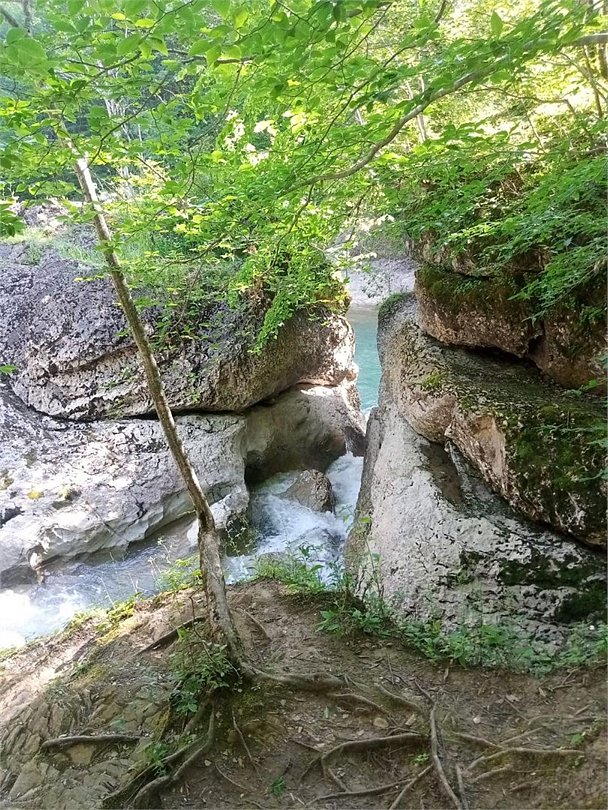 Отель АЛИЯ, Республика Адыгея: фото 3