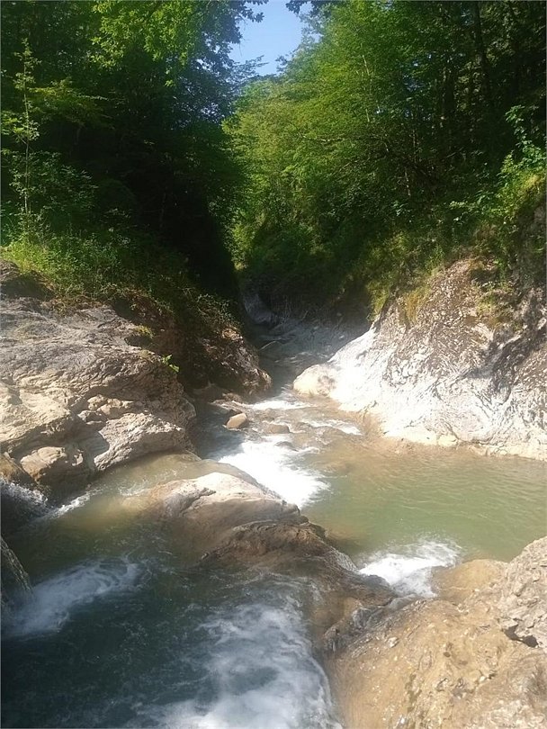 Отель АЛИЯ, Республика Адыгея: фото 5