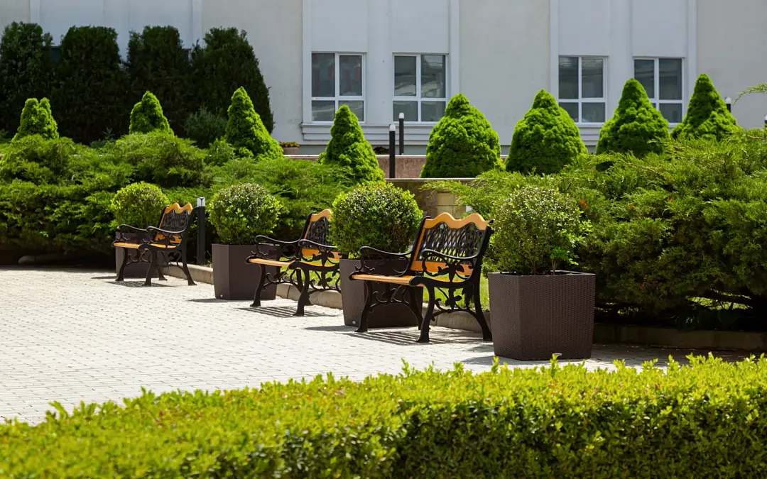 Плаза, Ставропольский край: фото 4