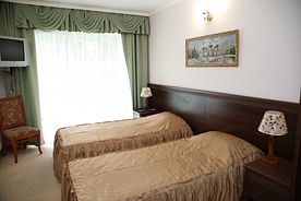 I категория (стандарт) — 20,2 м², Санаторий Пятигорский нарзан, Пятигорск