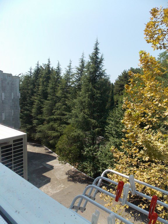 Стандарт + 2-местный 1-комнатный