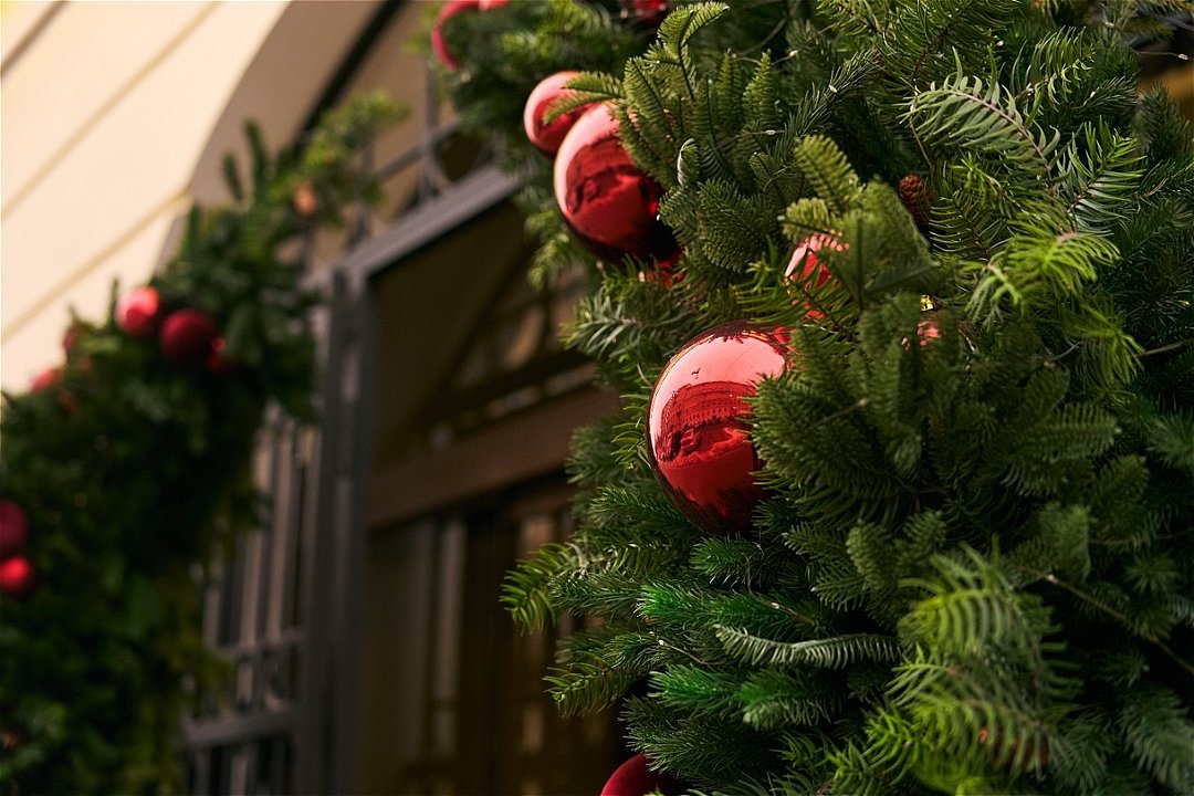 ACADEMIA Васильевский, Ленинградская область: фото 4