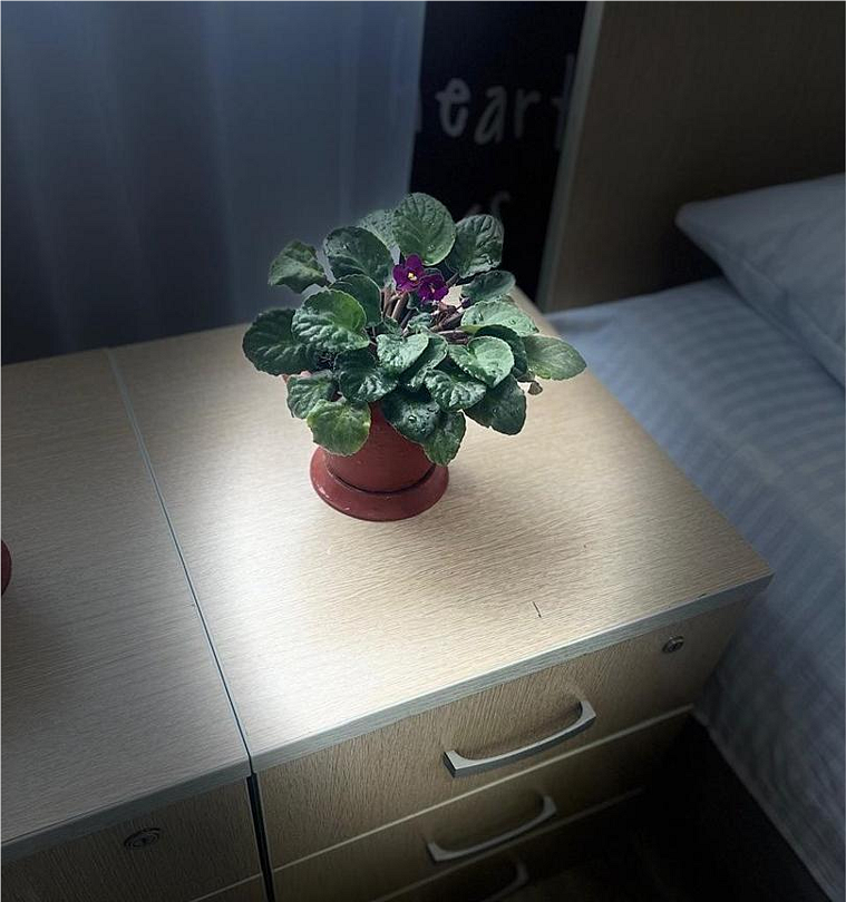 Комфорт 4-местный 1-комнатный