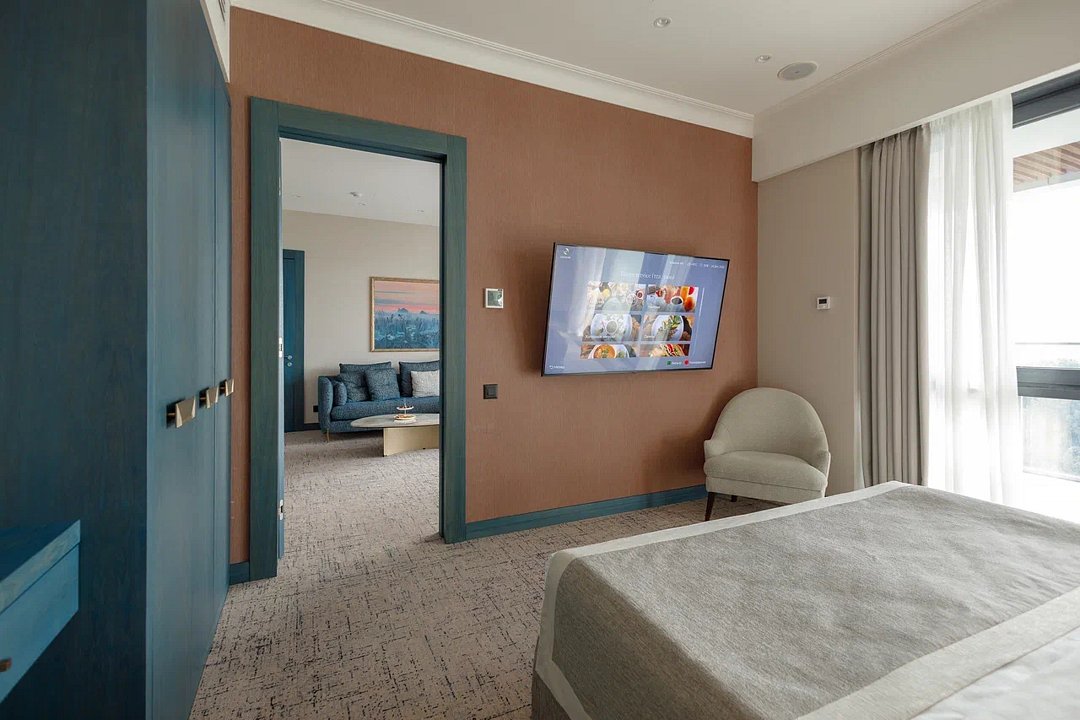 Делюкс 2-местный (с видом на парк)