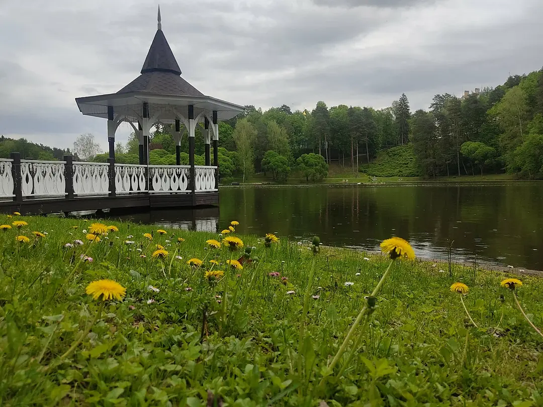 Барвиха, Московская область: фото 5