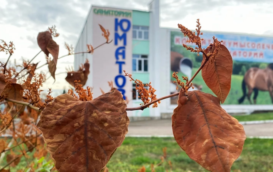 Юматово, Республика Башкортостан: фото 3