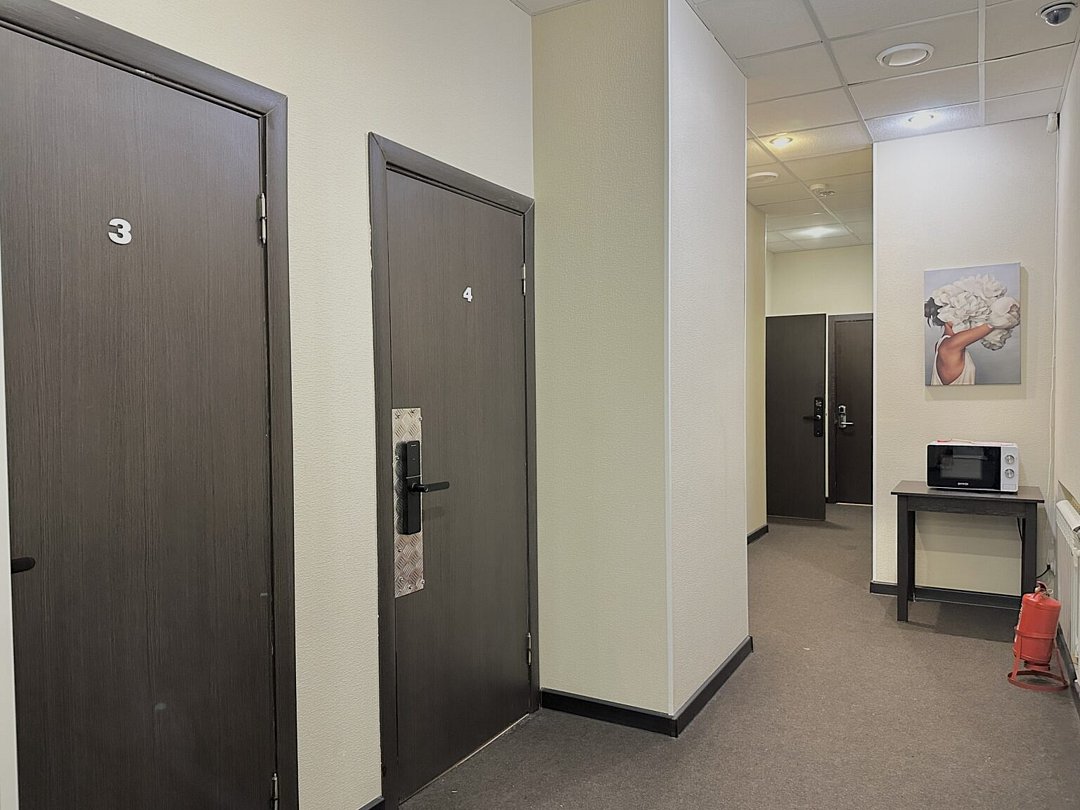 Аничков Бридж SyncotelHome, Ленинградская область: фото 3