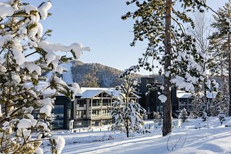 Премиальный курорт Алтай Рестарт