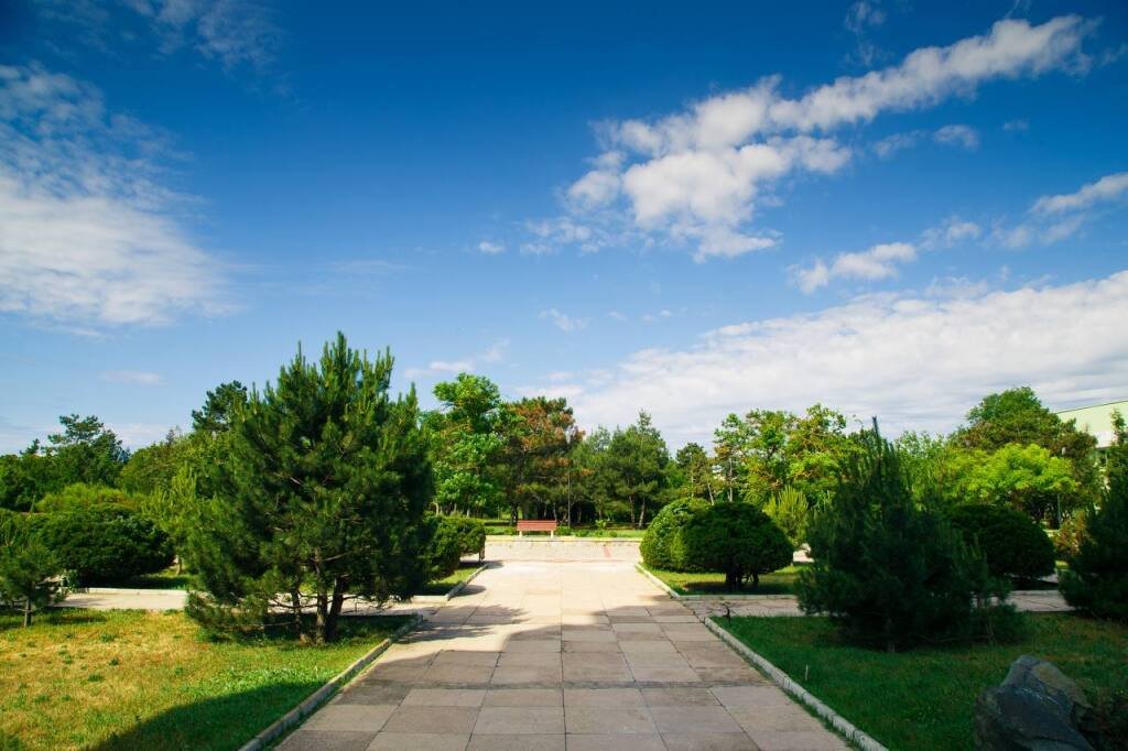 Санаторий ООО Таврия, Крым: фото 3