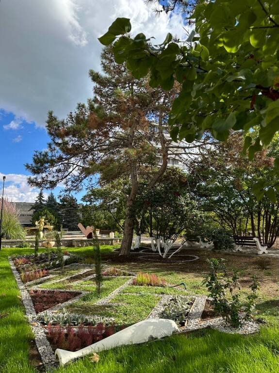 Санаторий ООО Таврия, Крым: фото 4