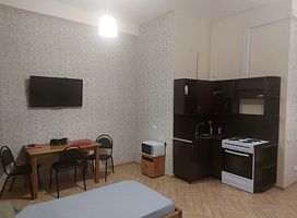 Апартаменты-студия 2012 27 м.кв.  с мини-кухней и санузлом.+79217269080.Уборка по запросу., Гостиница Корал, Петрозаводск