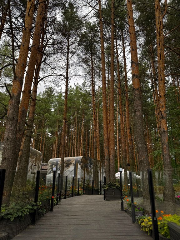 База отдыха Narnia Planet Hotel & SPA, Ярославская область: фото 5