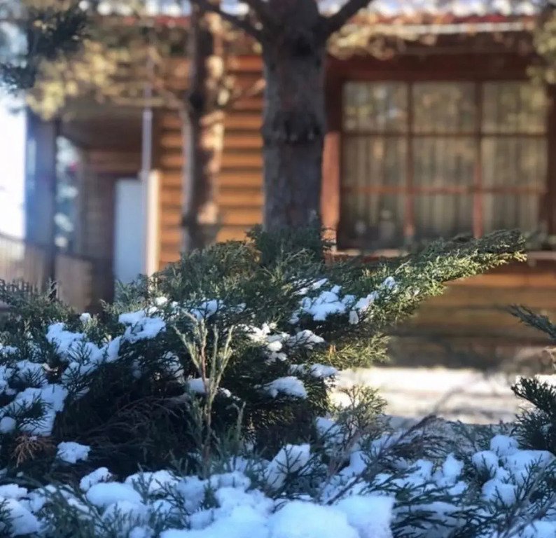 Отель Dmitrov Golf Resort, Московская область: фото 4