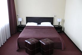 Двухместный номер Standard Comfort с видом на город двуспальная кровать, Отель Планета СПА, Тамбов