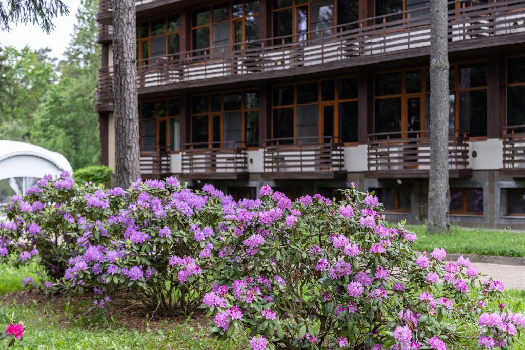 AZIMUT Отель & СПА Репино 4*, Ленинградская область: фото 4