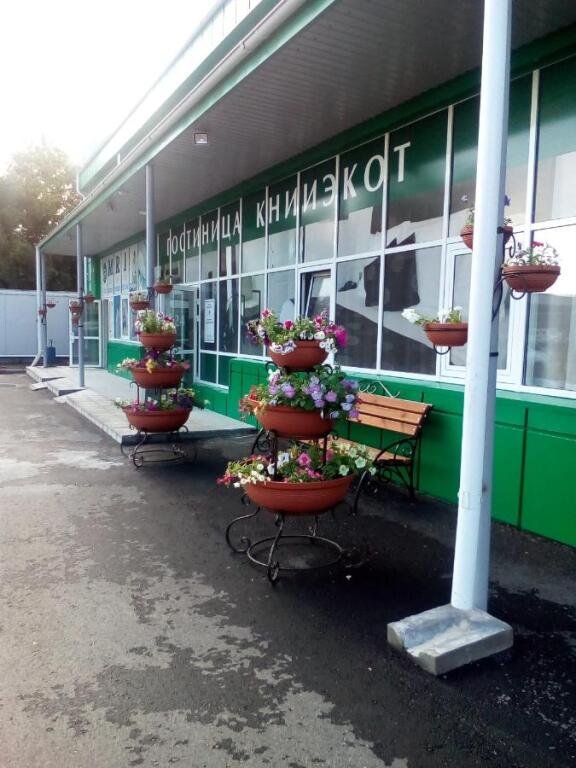 Отель Книиэкот, Курган, Курганская область