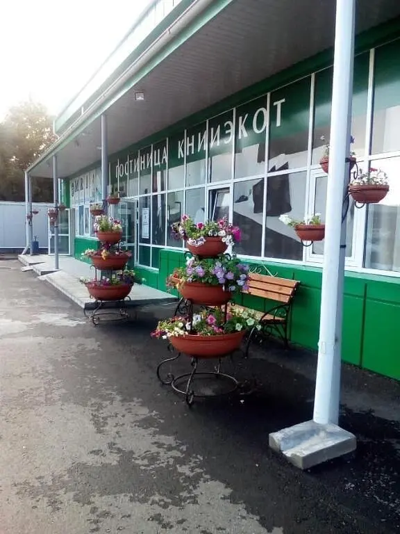 Отель Книиэкот, Курган, Курганская область