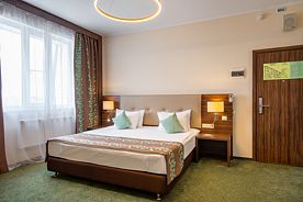 Двухместный номер Deluxe с видом на город двуспальная кровать, Отель Авион Внуково, поселок Внуково