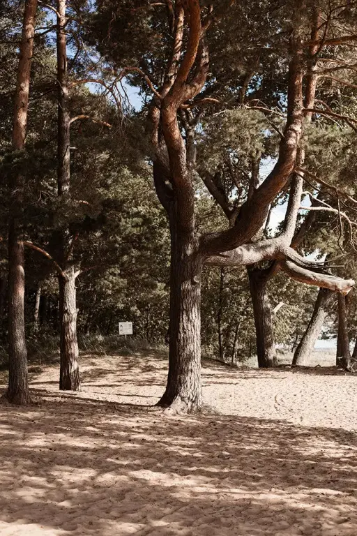 Отель Лайнер, Ленинградская область: фото 2