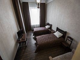 Двухместный номер Standard с видом на город 2 отдельные кровати, Отель Basmanka Convent, Москва