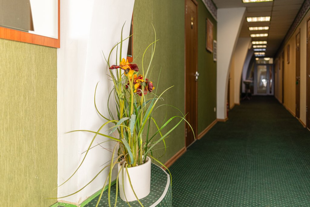 Отель Дом Ученых Химки, Московская область: фото 4