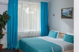 Двухместный номер Комфорт двуспальная кровать, Отель Дом Ученых Химки, Ширяйка