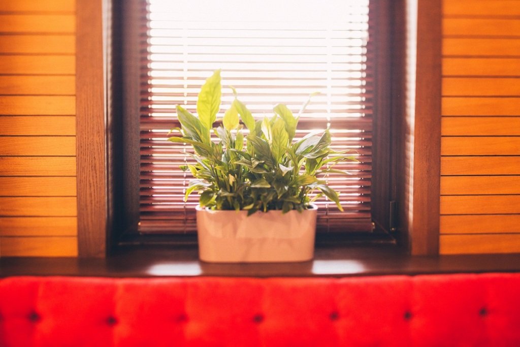 Отель Гала, Ханты-Мансийский автономный округ: фото 4