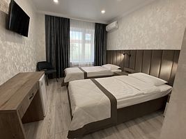 Двухместный номер Стандартный 2 отдельные кровати, Отель Гостиница Надежда, Дивный