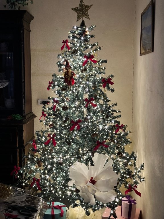 Гостиница Кассель, Ярославская область: фото 4